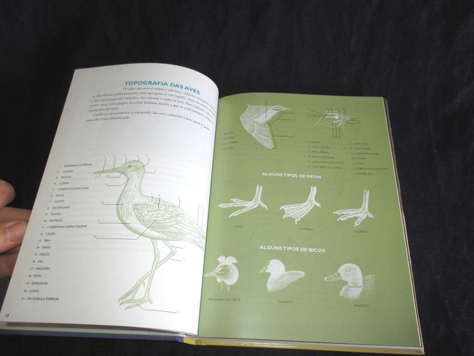 Livro Guia de Campo das Aves Aquáticas de Portugal