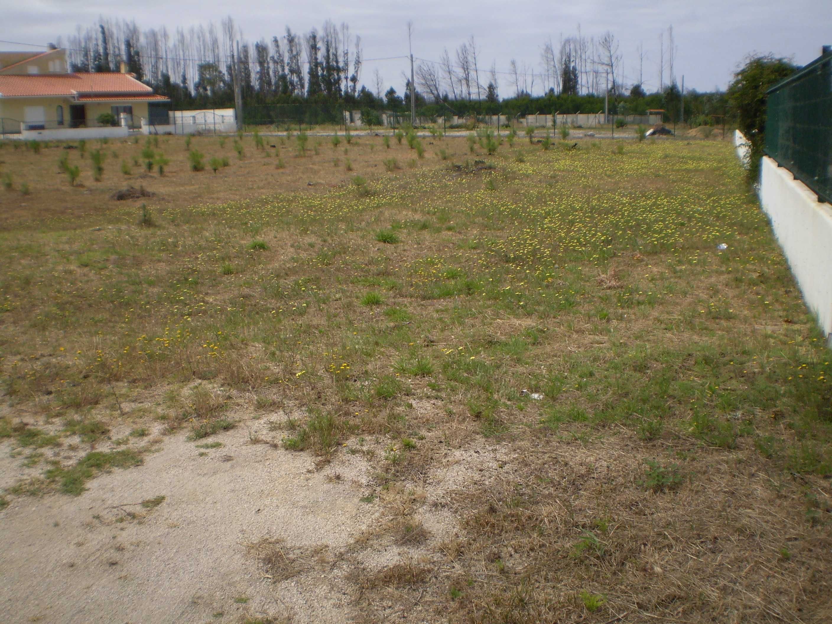 Terreno para construção/investimento