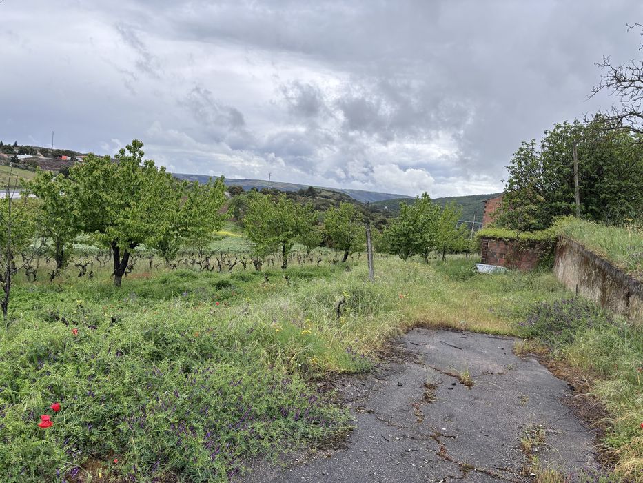 Casa com Restaurante + Vinha à Venda em Bragança – 2 andares, Garagem