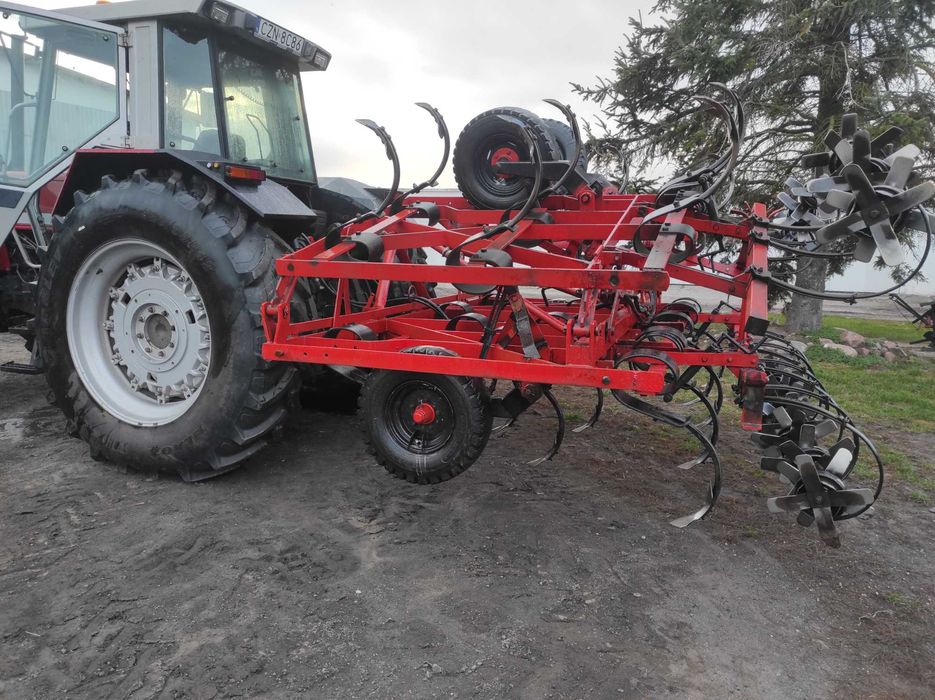 Ścierniskowiec, gruber Konskilde 6m