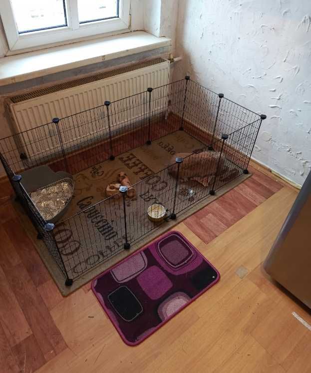 Klatka zagroda metalowa NOWA ogrodzenie dla szczeniaka gryzoni kojec
