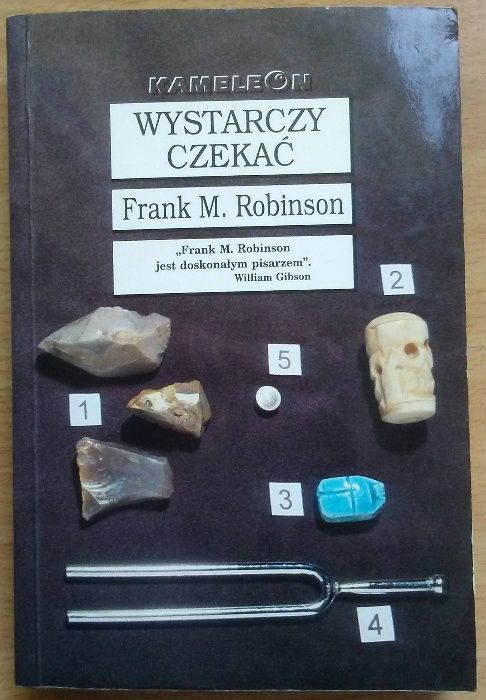 Wystarczy czekać - Frank M. Robinson