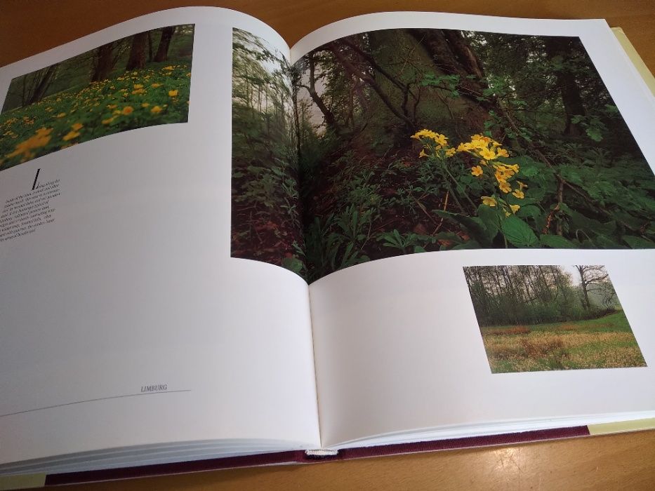 Nature in Holland - protected landscapes in the Netherlands