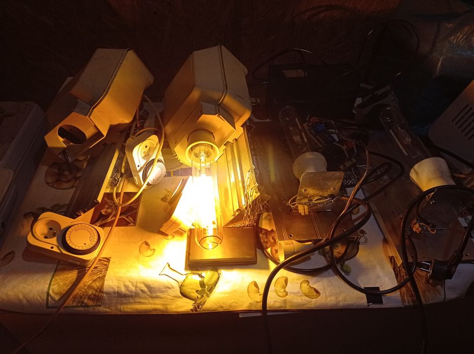 Lampy do uprawy roślin