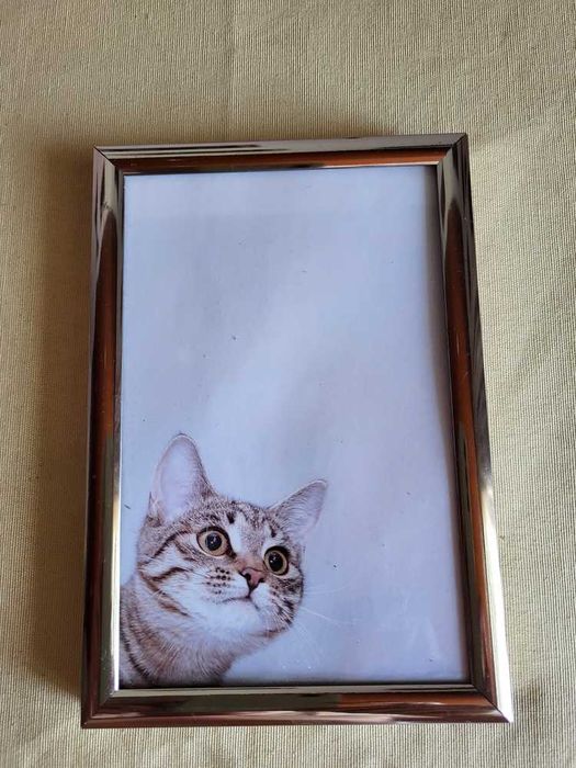 Moldura Metal Dourada