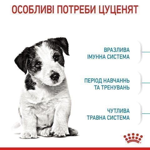Royal Canin Mini Puppy 0,8кг