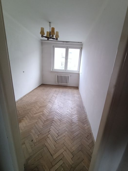 Stara klepka dębowa