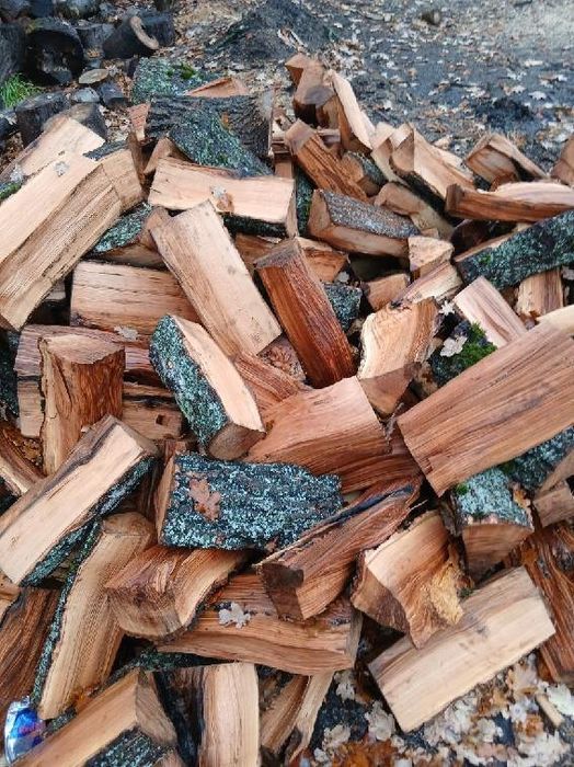 Drewno kominkowe opałowe