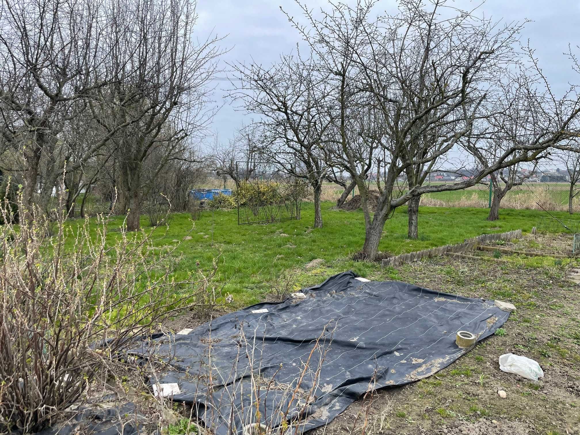 Piękna, duża działka z licznymi nasadzeniami na ROD