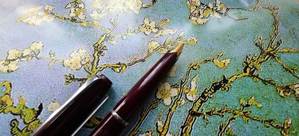 Pióro Wieczne Swan Anglia