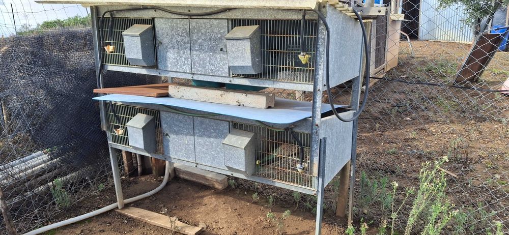 Vendo Jaula Metálica de Criação (Perdizes, Codornizes, Coelhos)