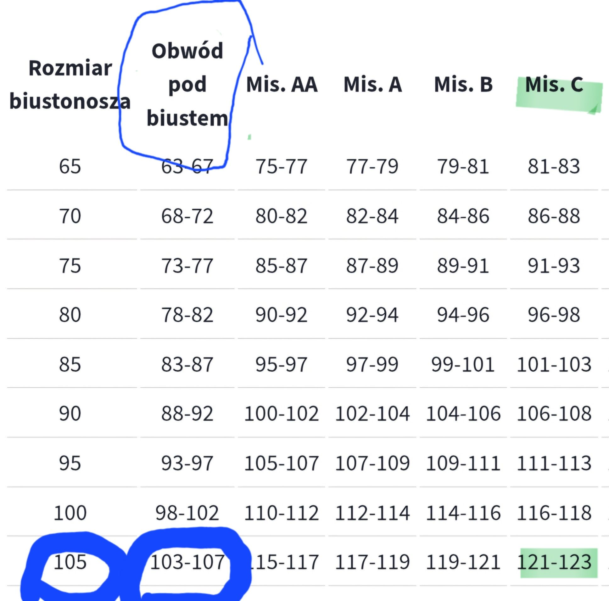 Biustonosz bon prix 105 C