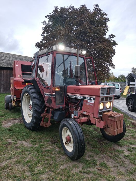 International 585 xl . IH Case