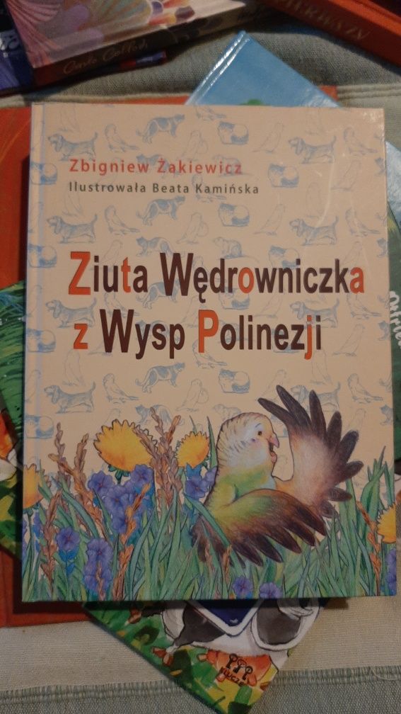 Książka dla dzieci "Ziuta Wędrowniczka..." PREZENT