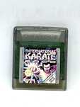 International Karate 2000 GameBoy Color (sama gra) Po Angielsku