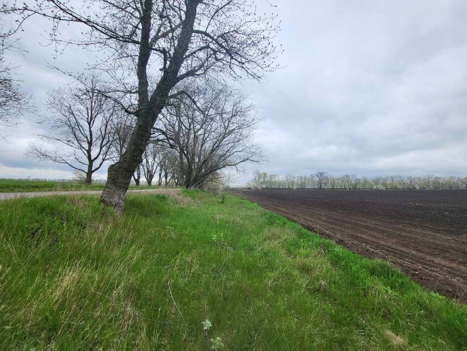 Земельна ділянка, пай. ВЛАСНИК