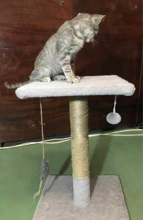 Дряпалка для котів