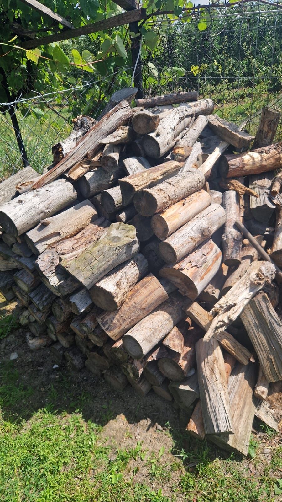 Sprzedam drzewo i miał