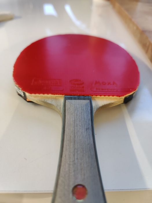 Butterfly falcima + dhs hurricane 3