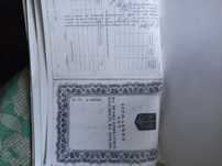 Продам два пая земли