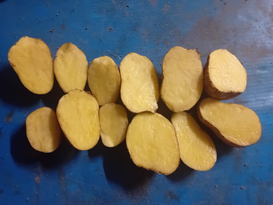 Sprzedam ziemniaki Melodia Catania