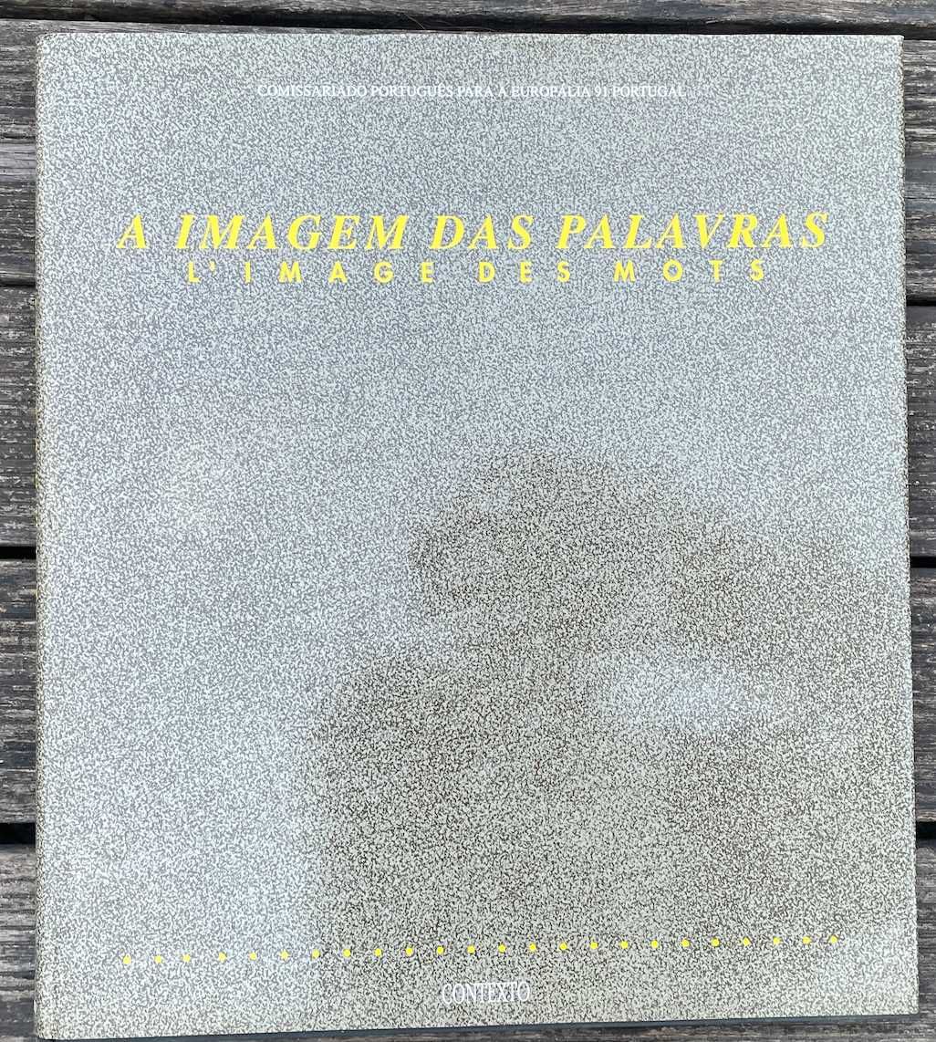 A imagem das palavras