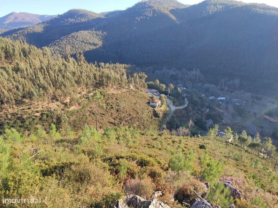 Terreno Florestal em Alvarenga