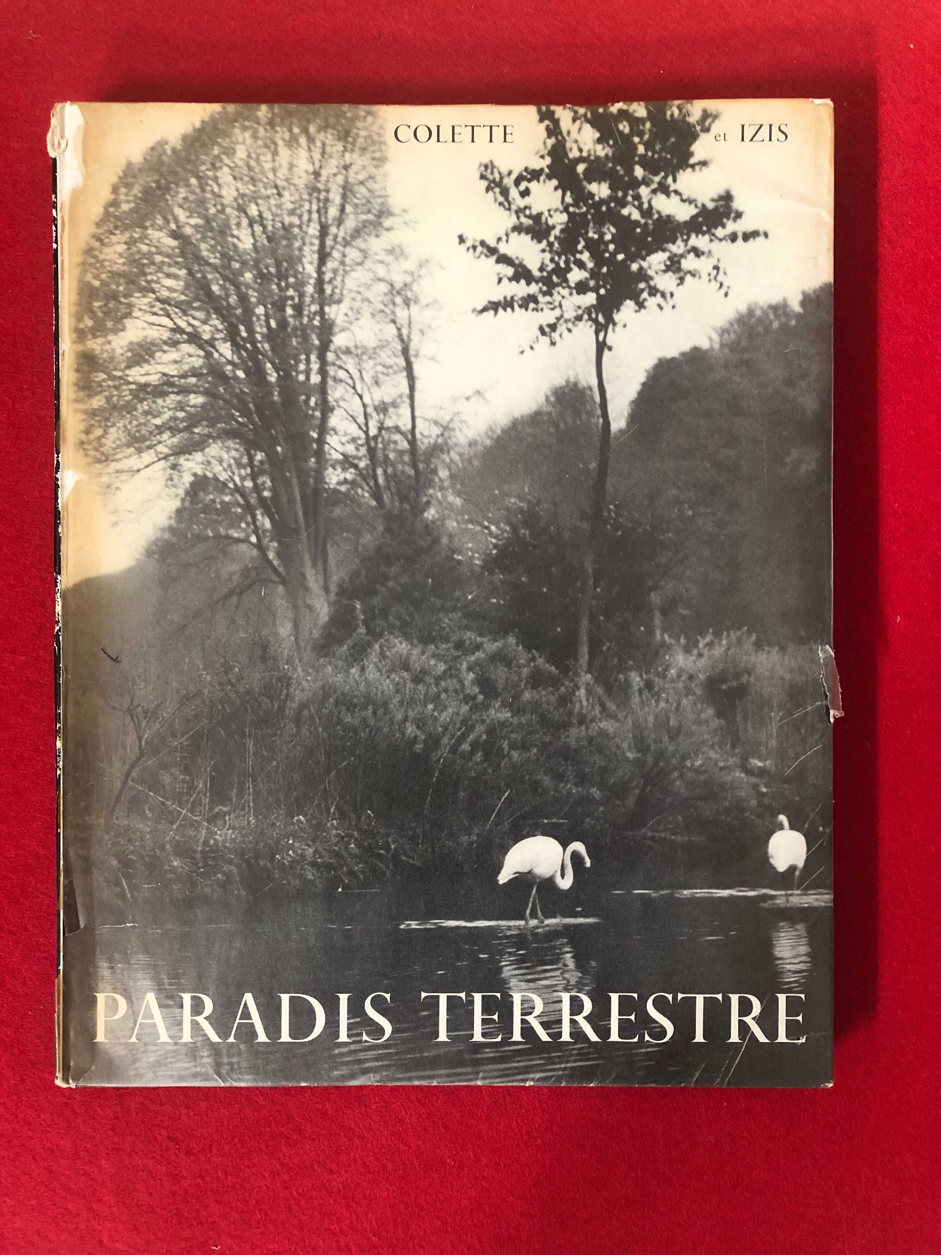 Paradis Terrestre - Colette