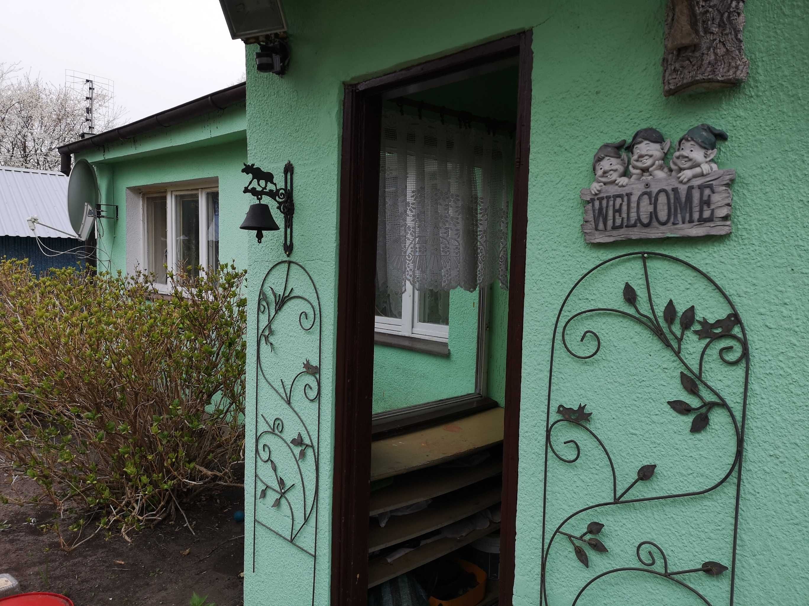 Pole namiotowe - Gdynia Babie Doły "u Halinki"