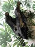 Sapato raso preto