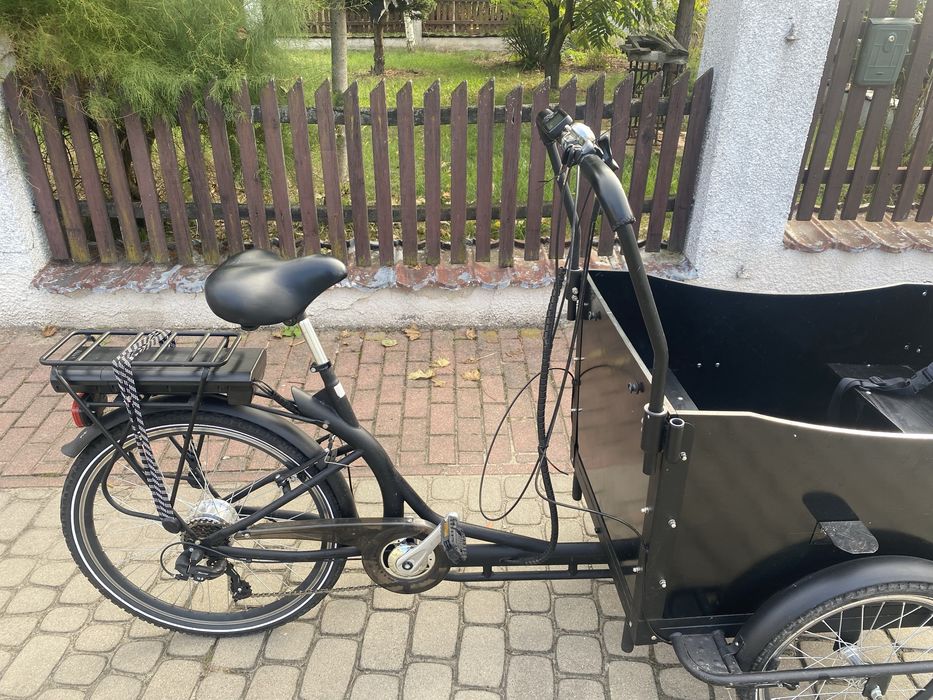 Rower elektryczny-riksza Przyczepka rowerowa