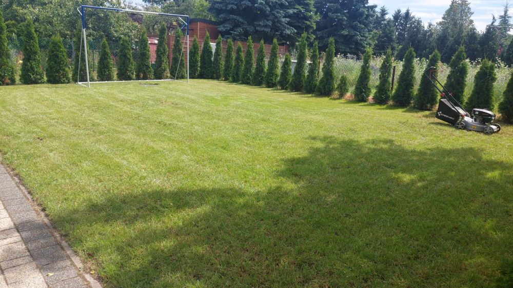 Działka ROD PALUCH Piękna zadbana, prąd woda