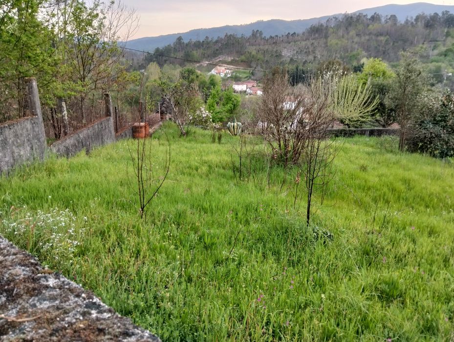 Moradia localizada em sítio calmo