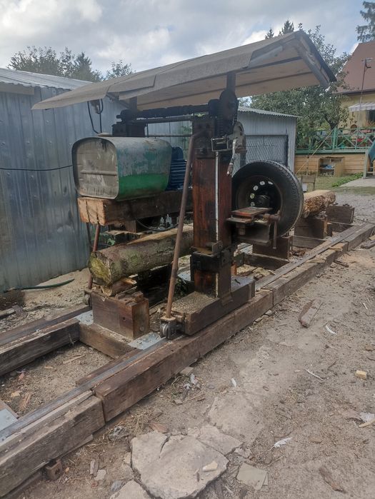 Trak tasmowy do drzewa