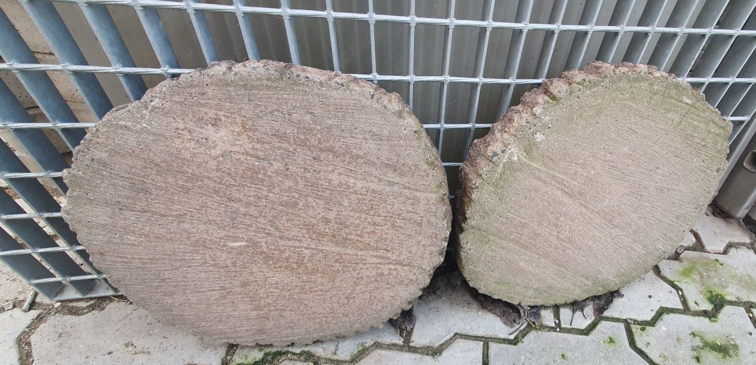 Plaster drzewa betonowy