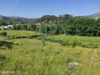 Terreno Rústico Vila Real