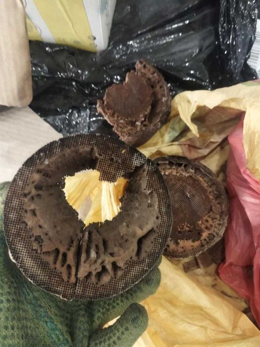 Каталізатор, каталізатори, прийом, продать, куплю, здати