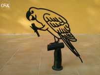 Papagaio decorativo