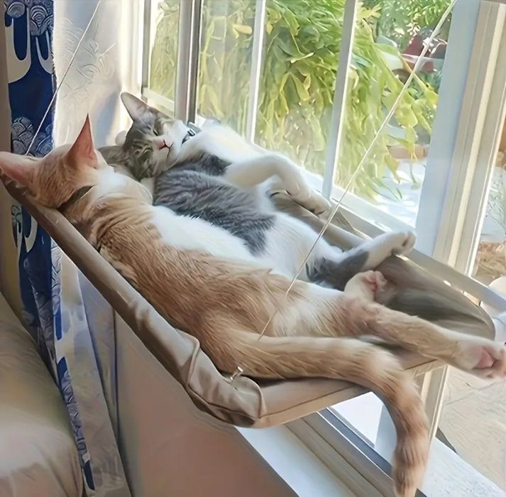 Cama para gatos nova