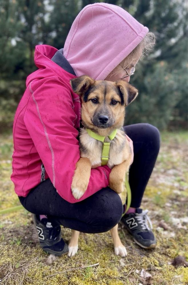 Tak bardzo się boję, uratuj mnie… Szczeniak do adopcji