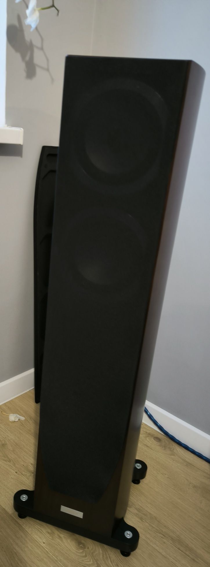 Kolumny Tannoy Precision 6.2