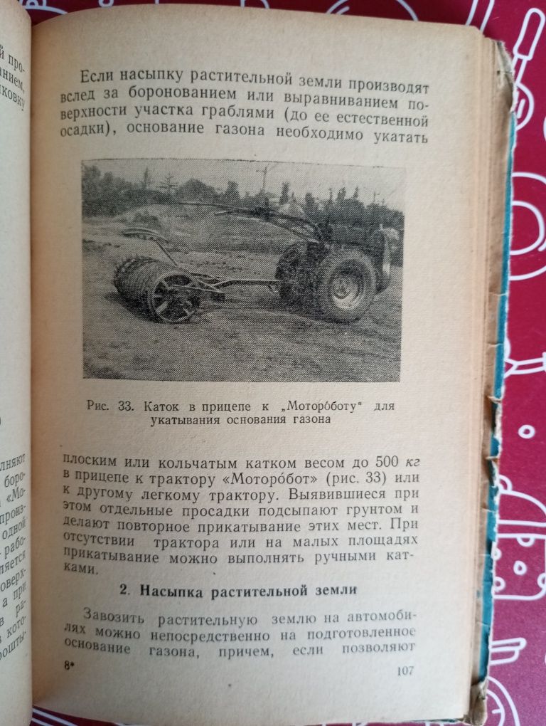 Работы по озеленению территории, 1961 г