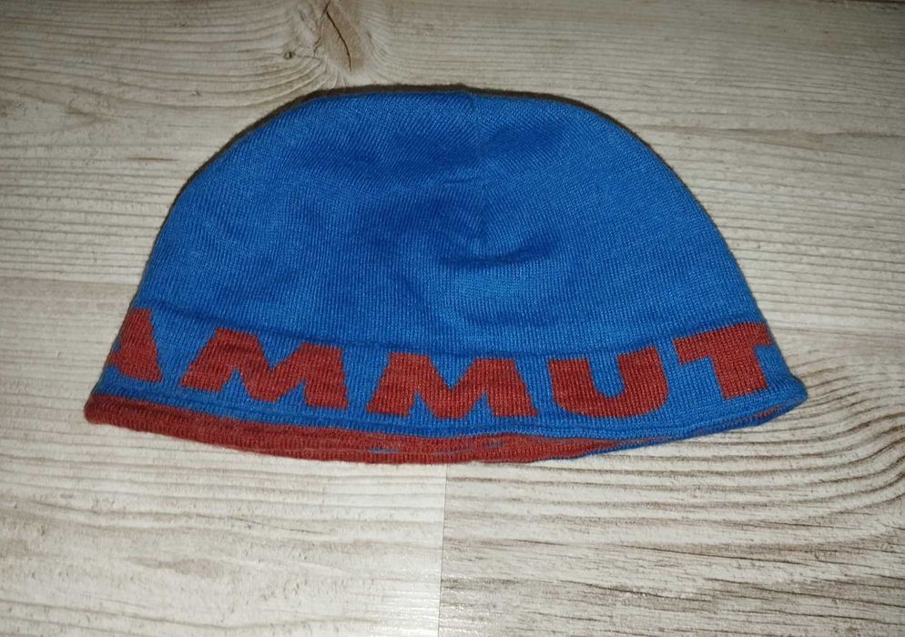 Шапка чоловіча спортивна Mammut Logo Beanie Blue
