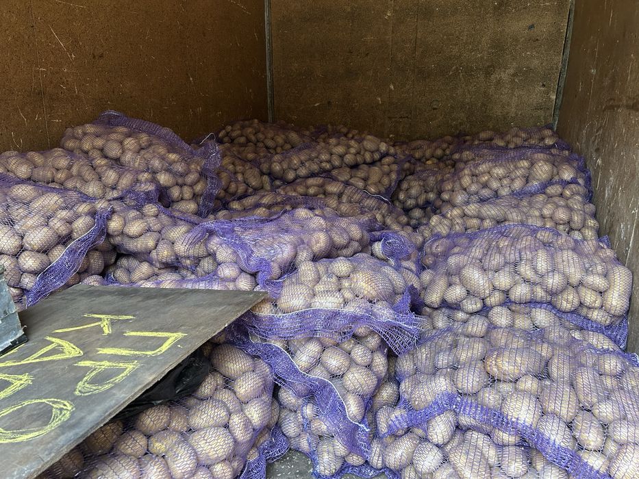 Продам картоплю картошку с доставкою під будинок 16гр від 200 кг-14 гр