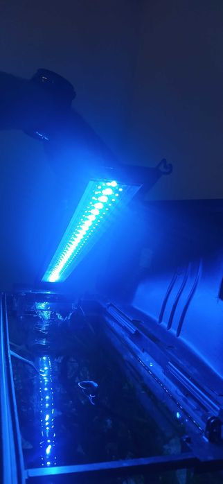 Aquário completo 90litros, 1 ano de uso