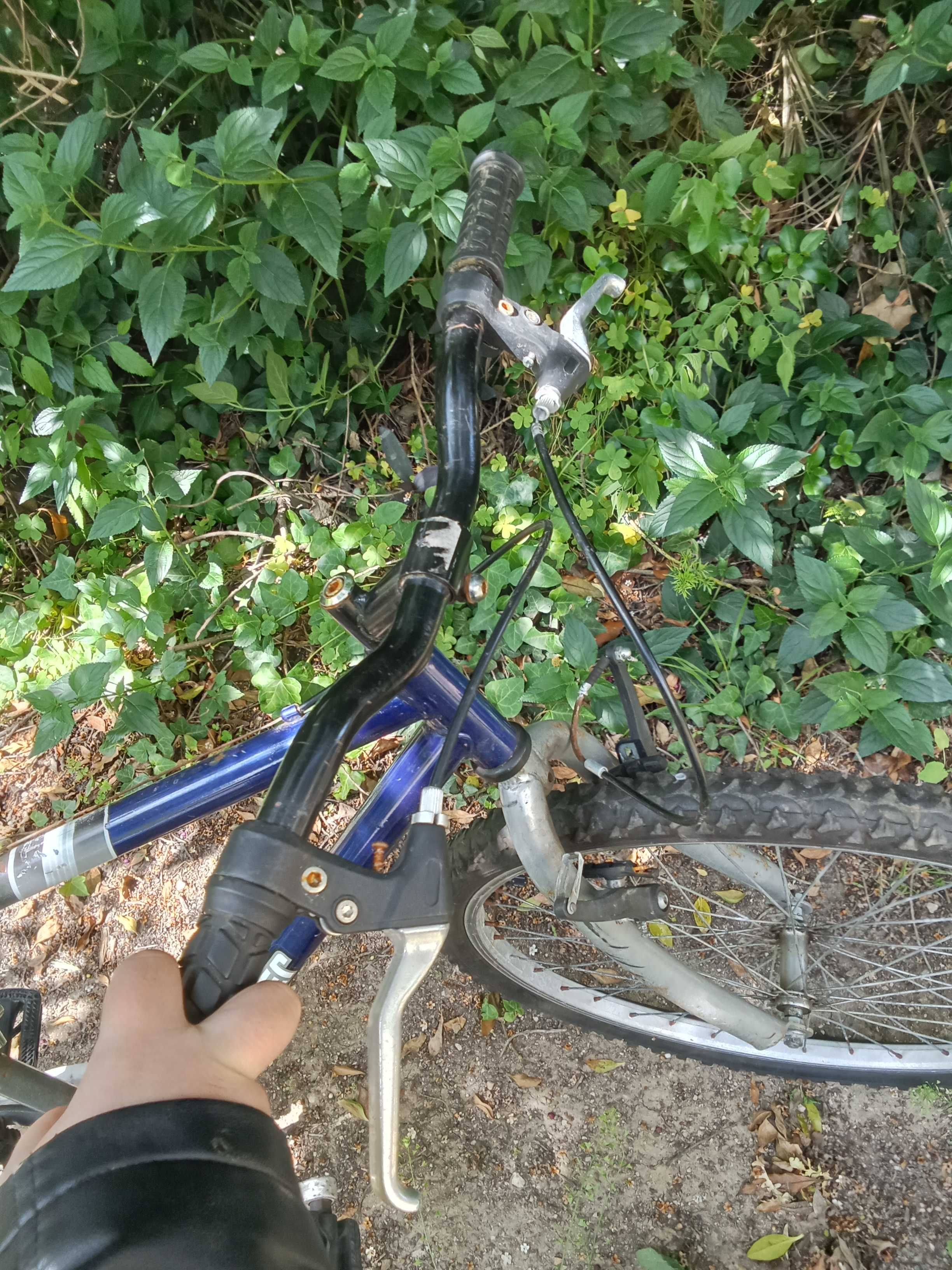 Quadro de Bicicleta Sem Corrente, Sem mudanças