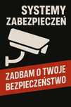 Montaż • Serwis • Modernizacja • Kamery | Alarmy | Domofony - Poznań