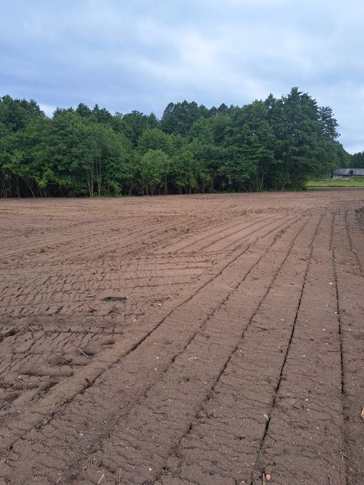 Mulczowanie terenu , Wycinka