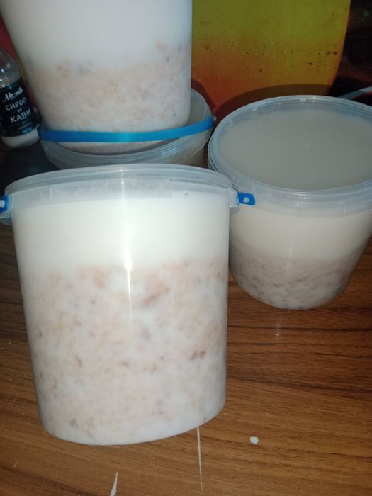 Продам домашній смалець з шкварками