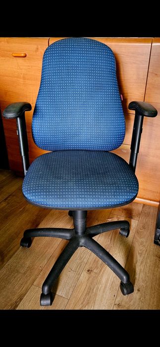 Krzesło obrotowe Sigma betina